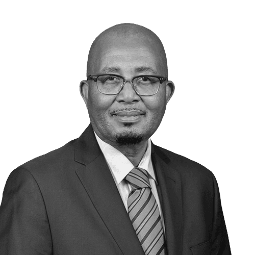 Dr Nkosinathi Sishi